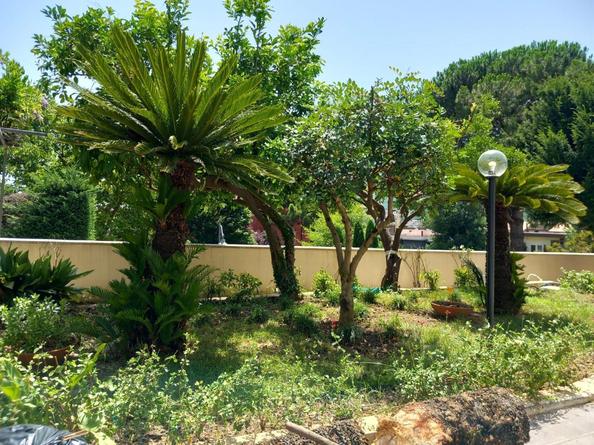 Villa Maria Cristina D'Amico กาวา เด ตีร์เรนี ภายนอก รูปภาพ